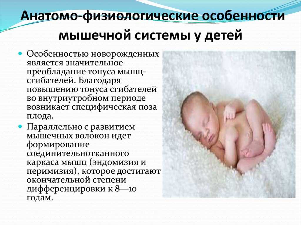 Темпераменты новорожденных. черты характера новорожденных детей
