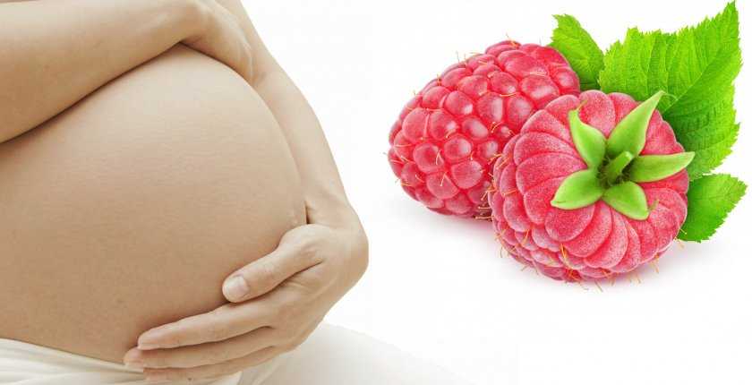 Малина при беременности: на ранних и поздних сроках, как принимать, листья, чай, можно ли, отвар, противопоказания, польза и вред