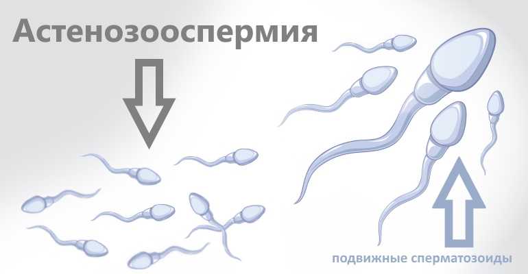 Что такое мужская фертильность и на что она влияет?