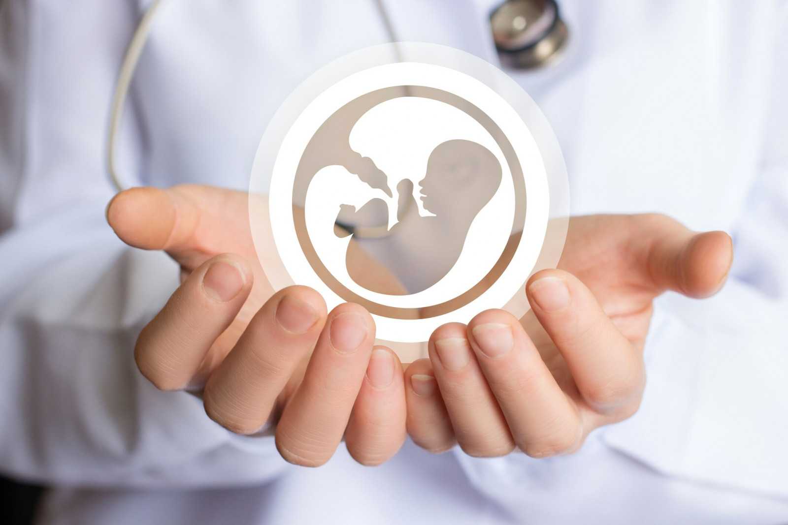 Дети эко: последствия для здоровья, могут ли малыши рожденные после экстракорпорального оплодотворения быть в будущем бесплодны?