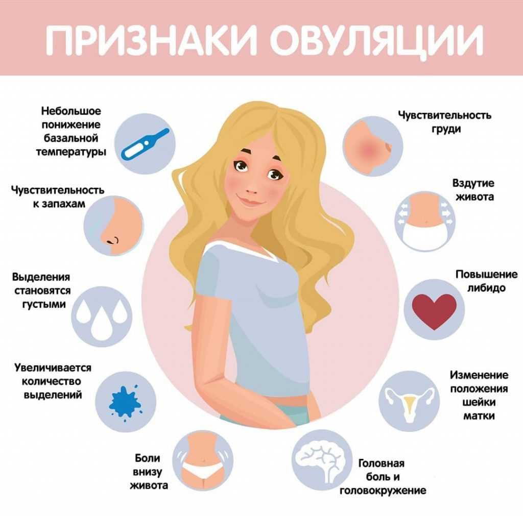 Признаки беременности после овуляции, по дням - ovulyaciya.com