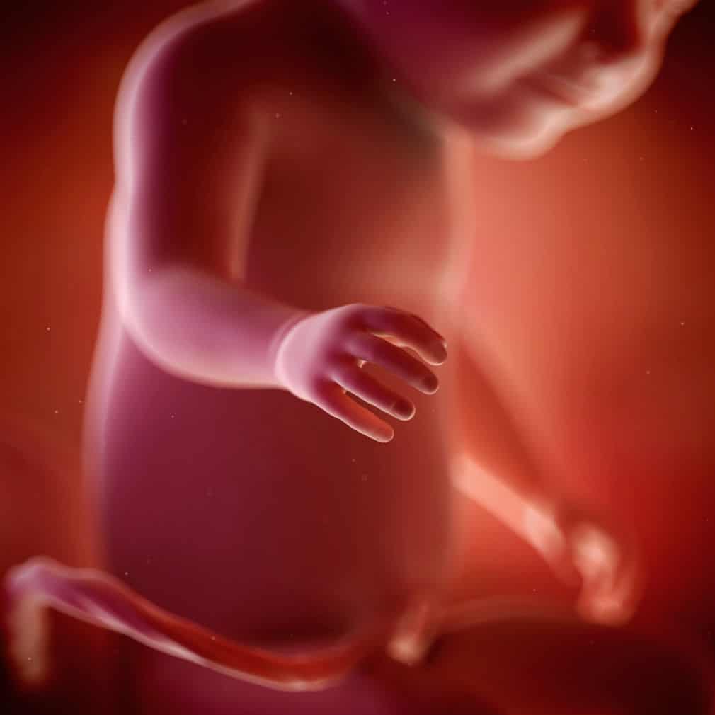 18 неделя беременности: что происходит с малышом и мамой, фото, развитие плода