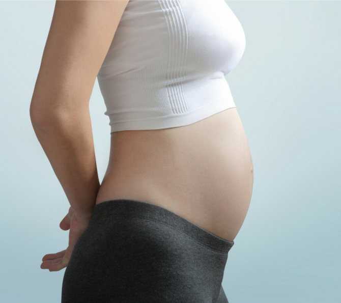 Четвертый месяц беременности (24 фото): развитие плода и ощущения беременной, размер живота и как он выглядит