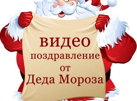 Именное видеопоздравление деда мороза "новогоднее приключение" россия.  отправлено - коллективные покупки или сп - страна мам