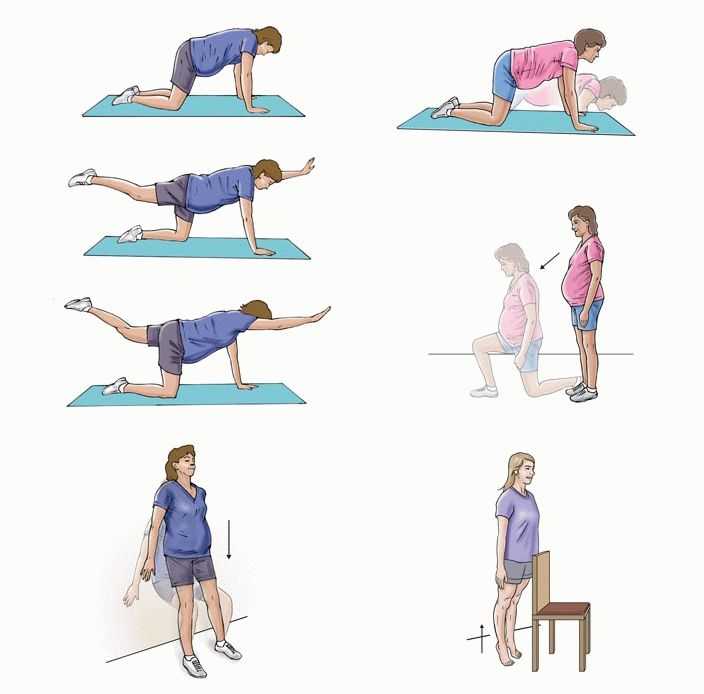 Физические упражнения для беременных во 2 триместре: йога и гимнастика, зарядка и занятия спортом