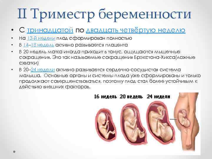 Первый триместр беременности: что можно и что нельзя, сколько недель — медицинский женский центр в москве