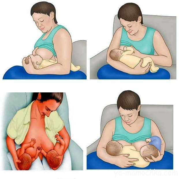 Неправильный захват. Позы для кормления грудного ребенка. Правильные позы для кормления новорожденного. Правильные позы для кормления грудью. Позы для кормления новорожденных грудью.