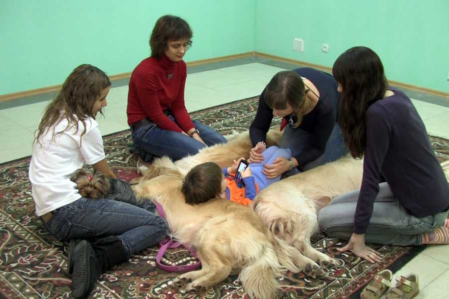 Особый ребенок и собаки. репортаж из центра канис-терапии