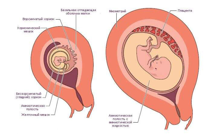 Имплантация эмбриона – ощущения, признаки. на какой день происходит имплантация эмбриона?