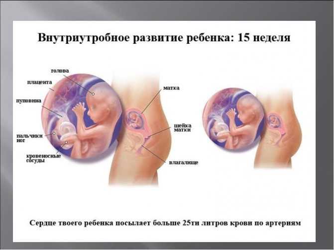 34 неделя беременности: малыш продолжает готовиться к рождению