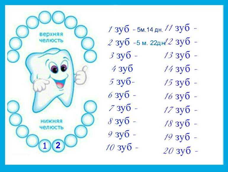 Температура при прорезывании зубов у детей до и после года: сколько может держаться