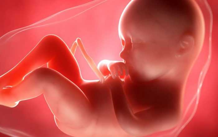 30 неделя беременности. развитие плода и ощущения, вес, рост, сколько это месяцев, что происходит с малышом, мамой. фото живота, узи