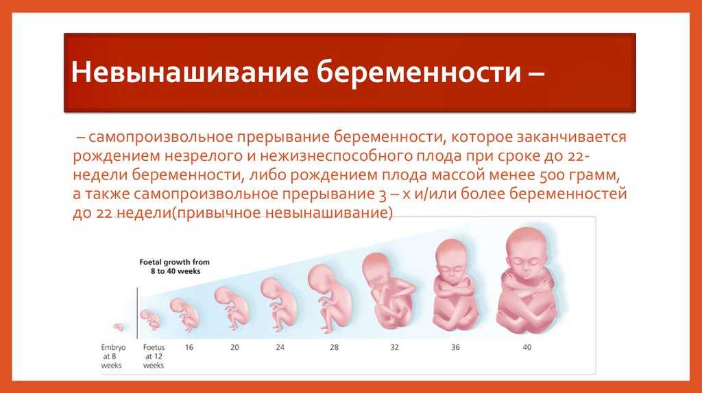 Замершая беременность после эко: обзор причин, почему это бывает и статистика, как часто случается такое осложнение, а также признаки на ранних и поздних сроках