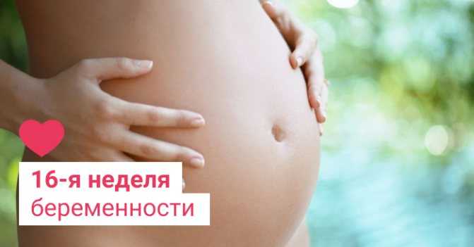 Плод на 15 неделе беременности (18 фото): что происходит с малышом и как он выглядит, размер ребенка, его развитие и ощущения, пол