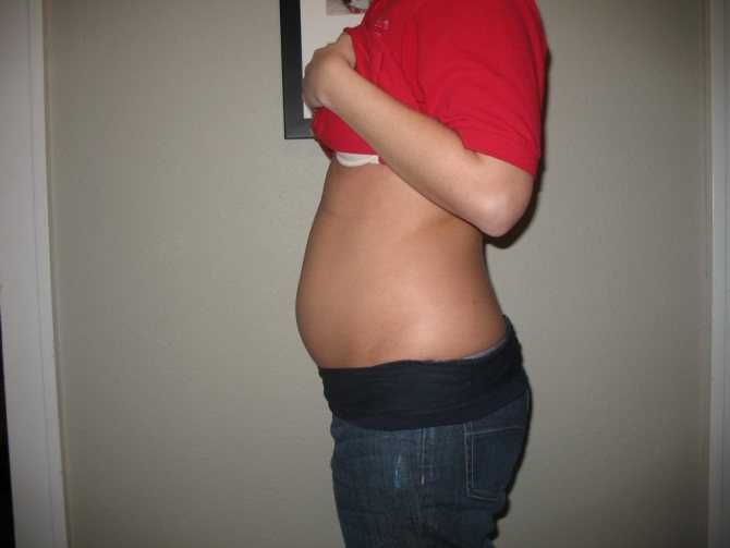 Развитие плода на 12 неделе беременности