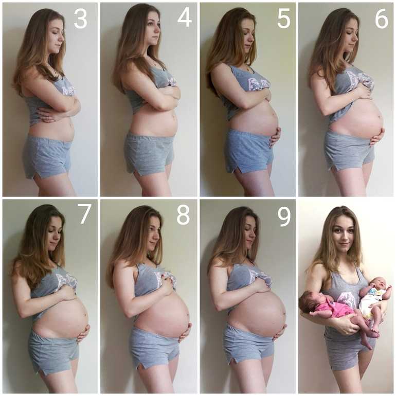 Как развивается плод по неделям беременности в картинках и описание, фото и видео, ощущения женщины